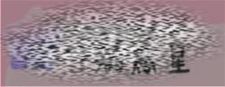 /uploadfile/2025/0411/20250411113230248.jpg