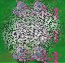 /uploadfile/2025/0420/20250420113702930.jpg