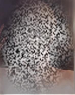 /uploadfile/2025/0530/20250530102234533.jpg