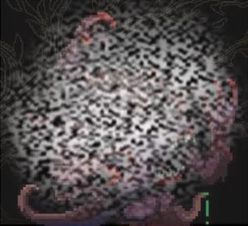 /uploadfile/2025/0601/20250601133602673.jpg