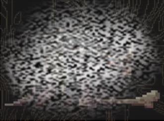 /uploadfile/2025/0601/20250601135129601.jpg