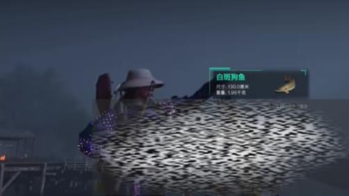 /uploadfile/2025/0602/20250602143334476.jpg