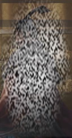 /uploadfile/2025/0609/20250609133003253.jpg