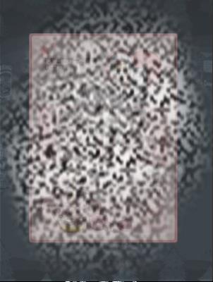 /uploadfile/2025/0609/20250609140542742.jpg