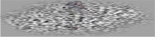/uploadfile/2025/0612/20250612142503986.jpg