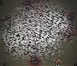 /uploadfile/2025/0613/20250613142740519.jpg